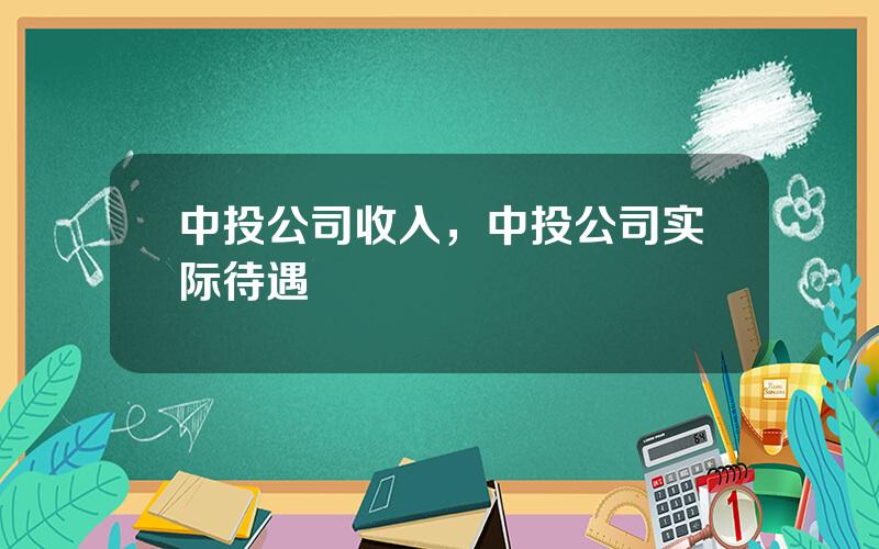 中投公司收入，中投公司实际待遇