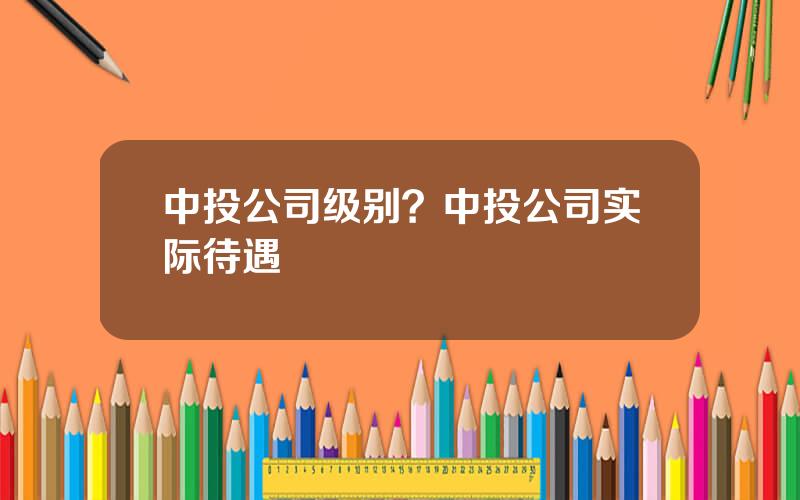 中投公司级别？中投公司实际待遇