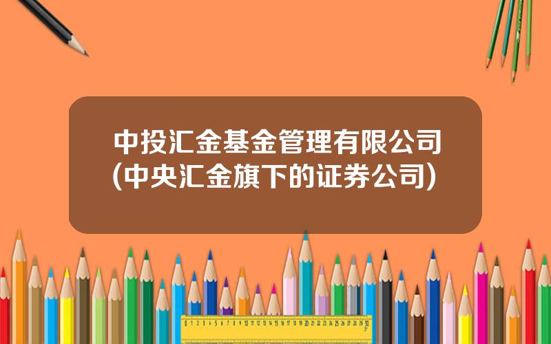 中投汇金基金管理有限公司(中央汇金旗下的证券公司)