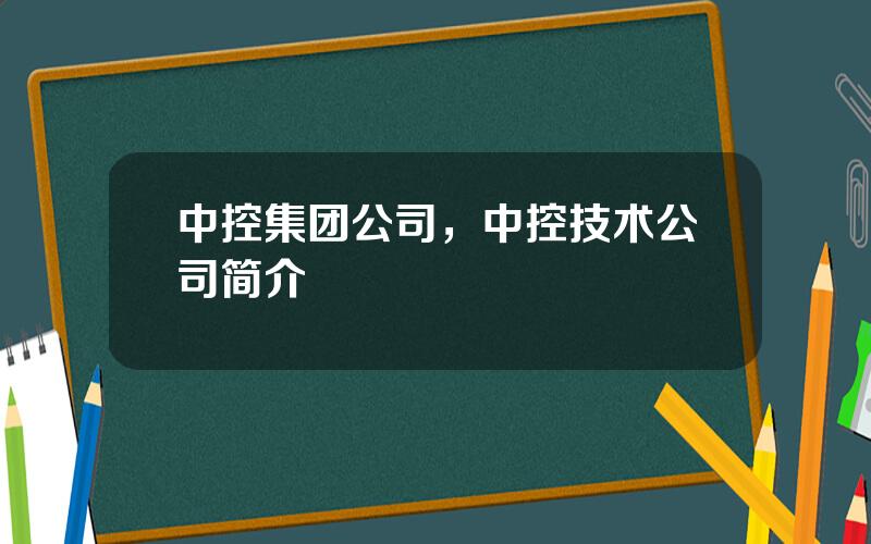 中控集团公司，中控技术公司简介