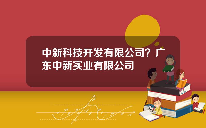 中新科技开发有限公司？广东中新实业有限公司