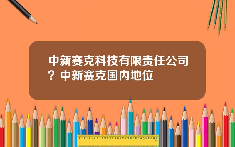 中新赛克科技有限责任公司？中新赛克国内地位