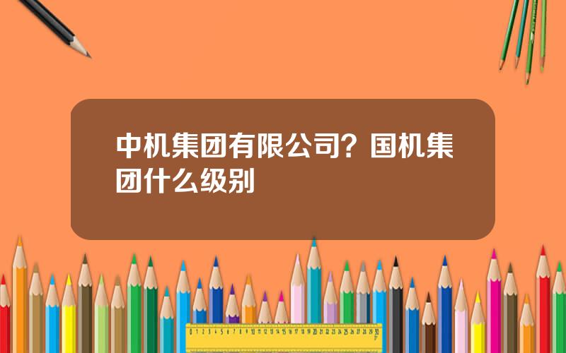 中机集团有限公司？国机集团什么级别