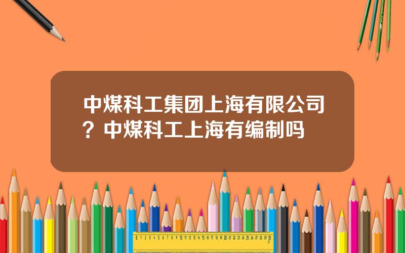 中煤科工集团上海有限公司？中煤科工上海有编制吗