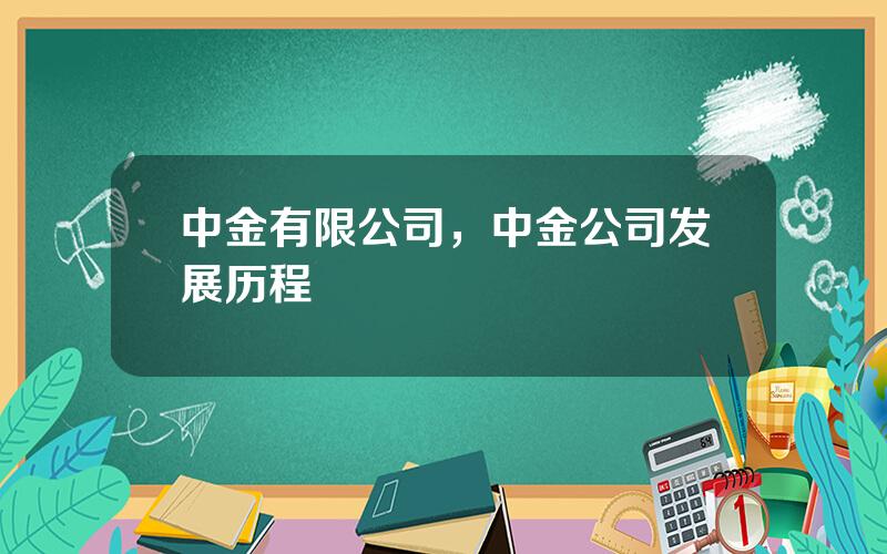 中金有限公司，中金公司发展历程