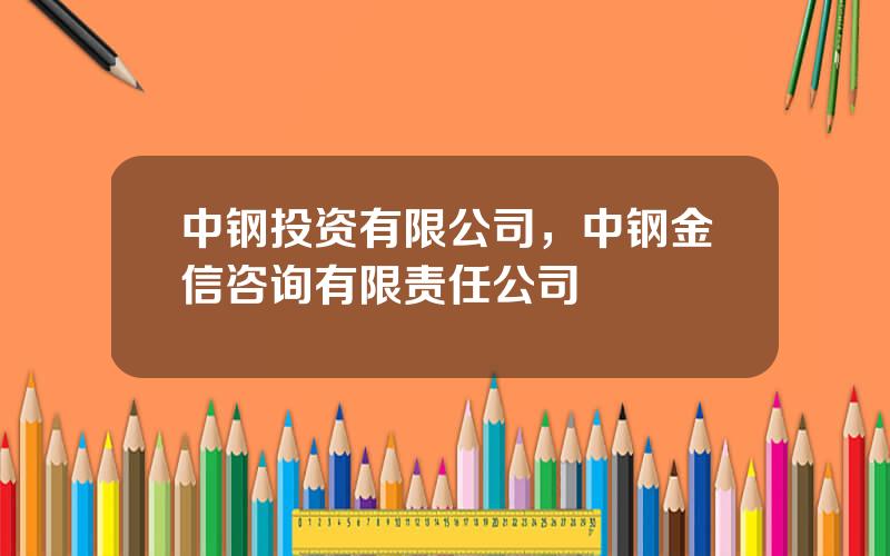 中钢投资有限公司，中钢金信咨询有限责任公司