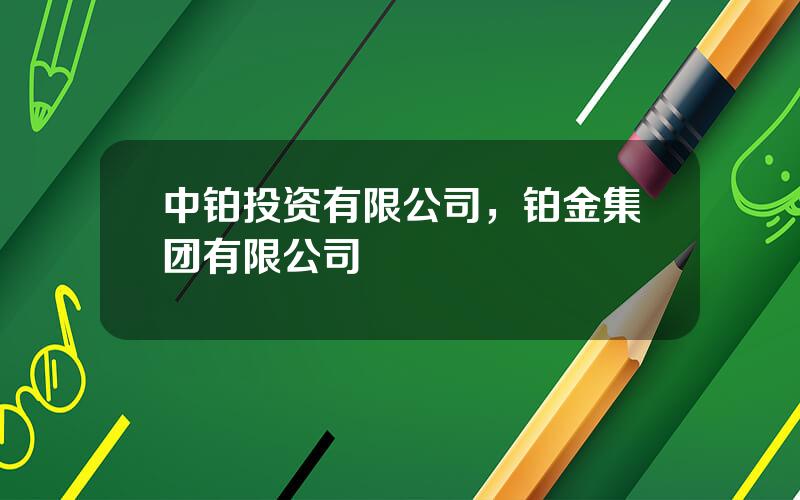 中铂投资有限公司，铂金集团有限公司