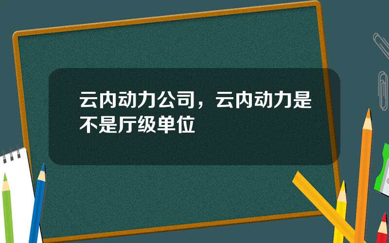 云内动力公司，云内动力是不是厅级单位