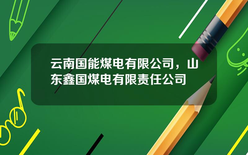 云南国能煤电有限公司，山东鑫国煤电有限责任公司