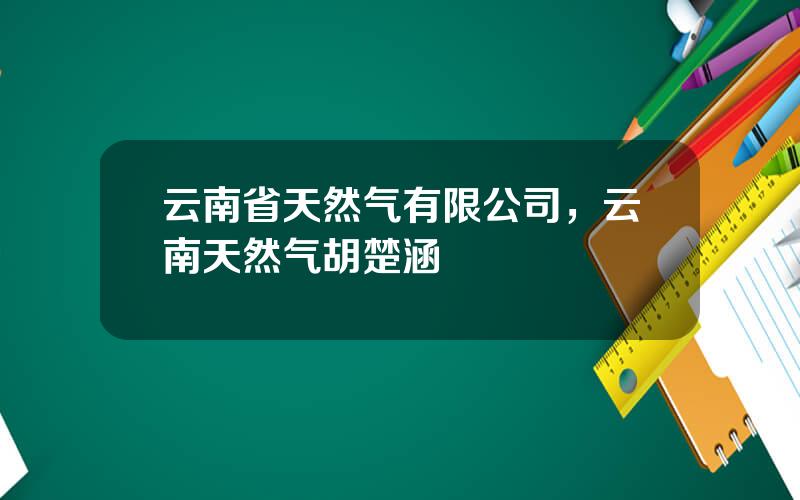 云南省天然气有限公司，云南天然气胡楚涵