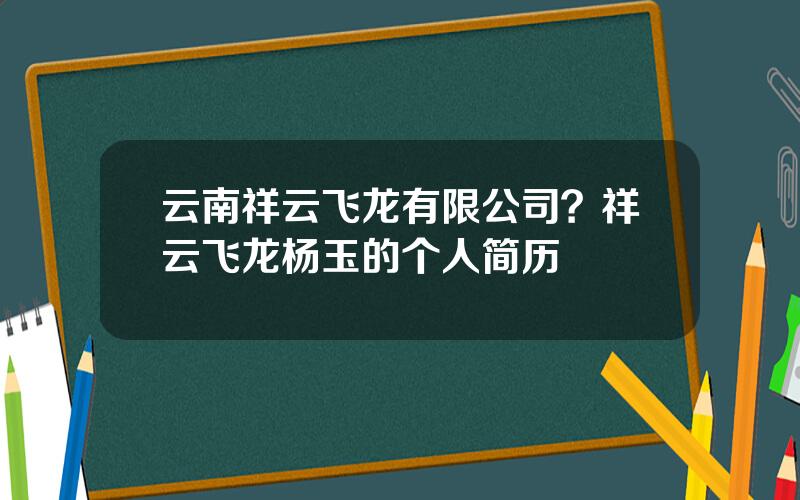 云南祥云飞龙有限公司？祥云飞龙杨玉的个人简历