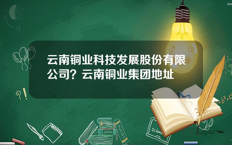 云南铜业科技发展股份有限公司？云南铜业集团地址