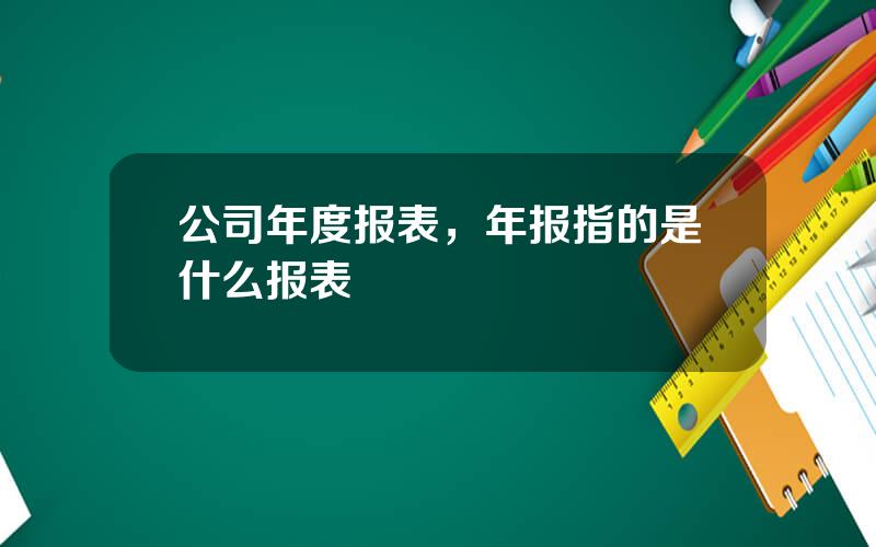 公司年度报表，年报指的是什么报表