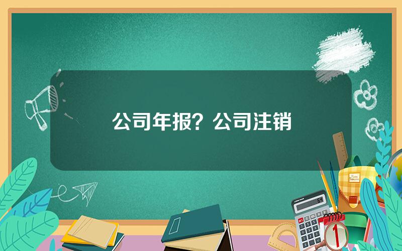 公司年报？公司注销