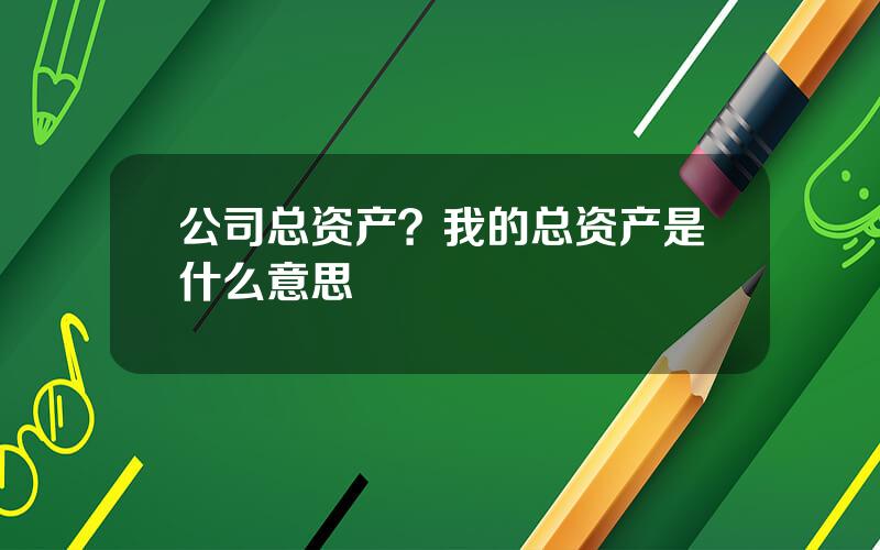 公司总资产？我的总资产是什么意思