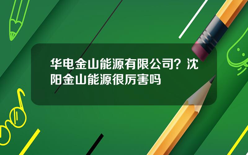 华电金山能源有限公司？沈阳金山能源很厉害吗