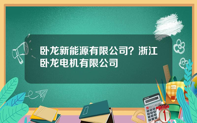 卧龙新能源有限公司？浙江卧龙电机有限公司