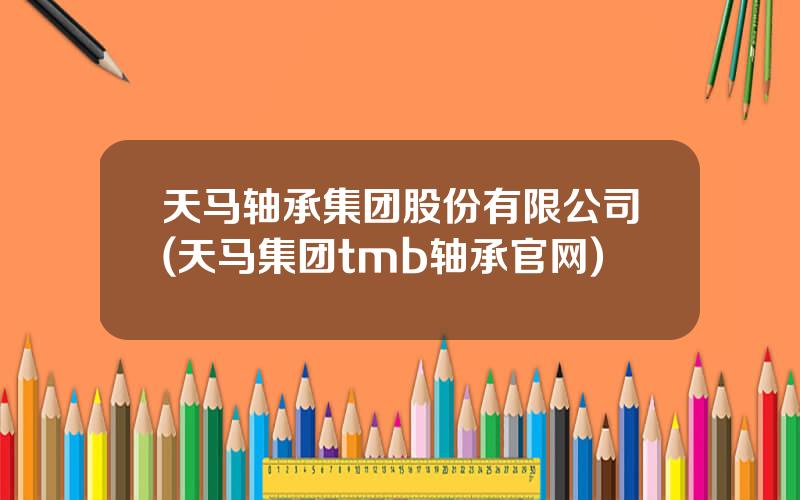 天马轴承集团股份有限公司(天马集团tmb轴承官网)