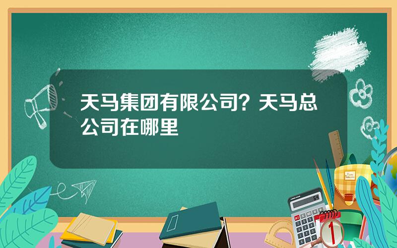 天马集团有限公司？天马总公司在哪里