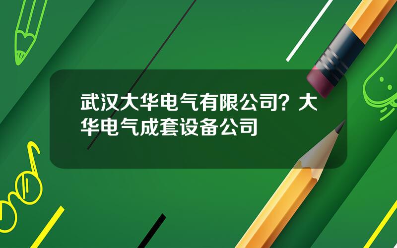 武汉大华电气有限公司？大华电气成套设备公司