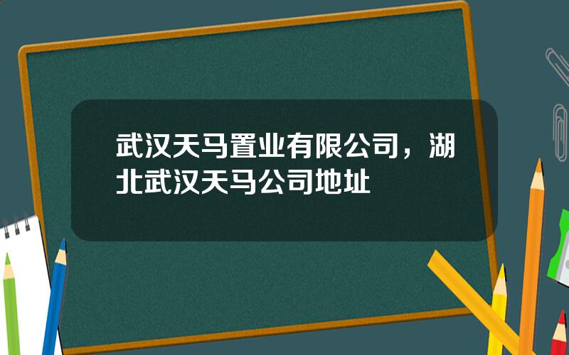 武汉天马置业有限公司，湖北武汉天马公司地址