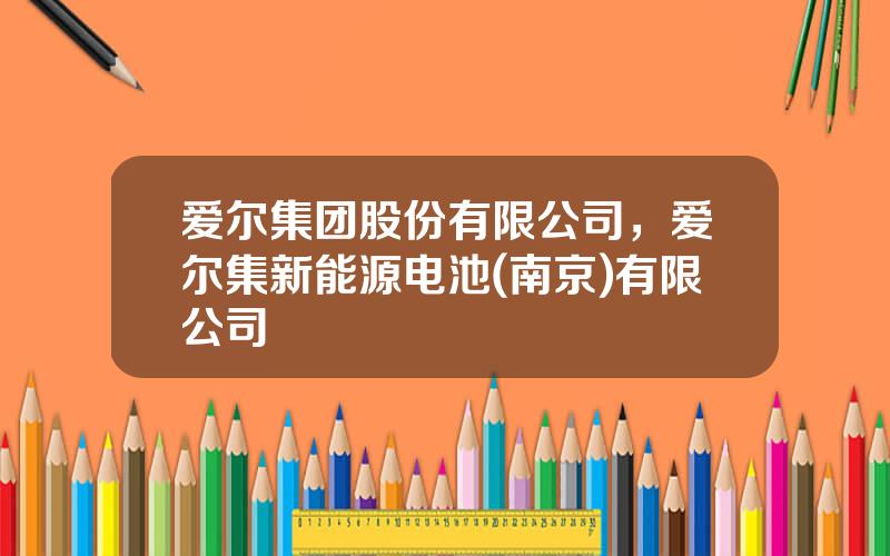 爱尔集团股份有限公司，爱尔集新能源电池(南京)有限公司