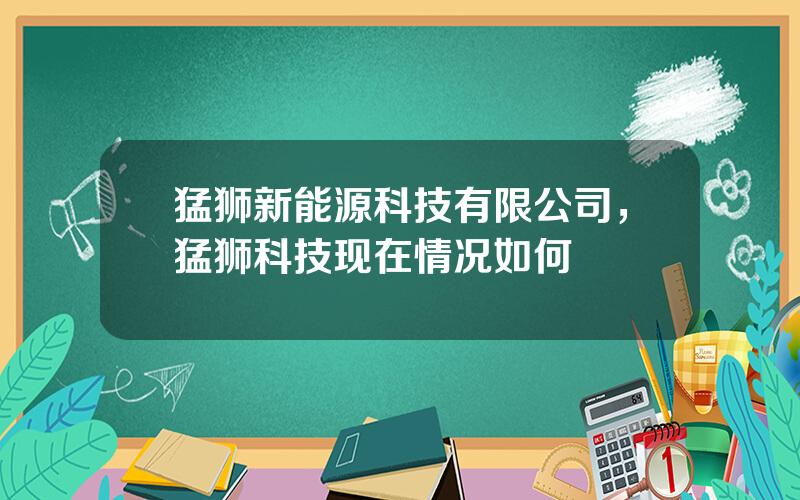 猛狮新能源科技有限公司，猛狮科技现在情况如何